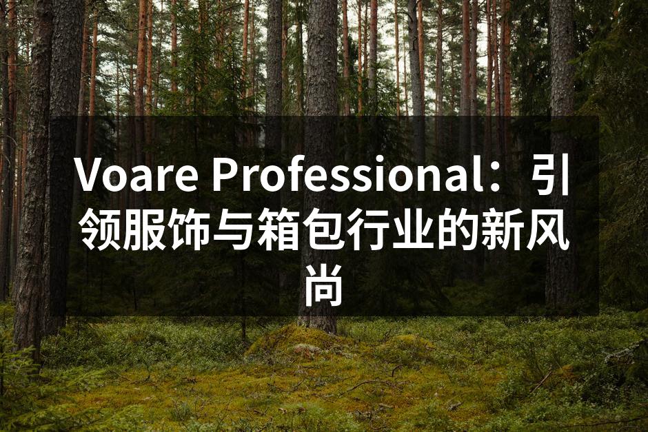 Voare Professional 新品发布会现场