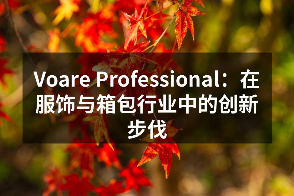Voare Professional：在